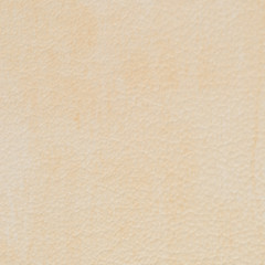 Brown vinyl texture