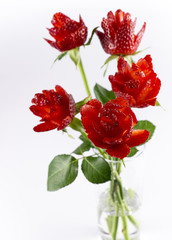 Strawberry roses in the vase 2 closeup