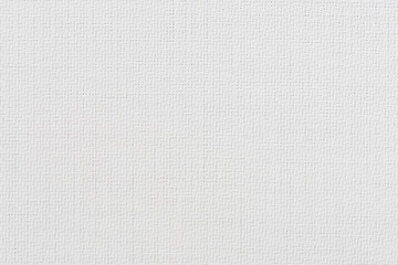 White vinyl texture