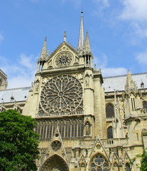Fototapeta premium cathédrale 