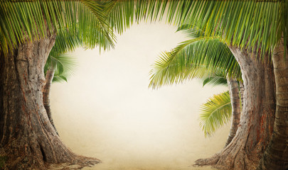 Dreamy palm tree landscape backgrund