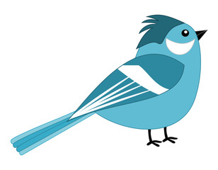 blue sparrow
