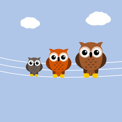 owls on a telephone cable