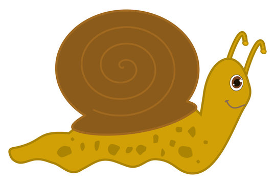 a crawling snail