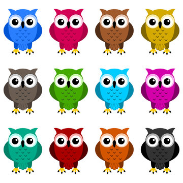 owls colors