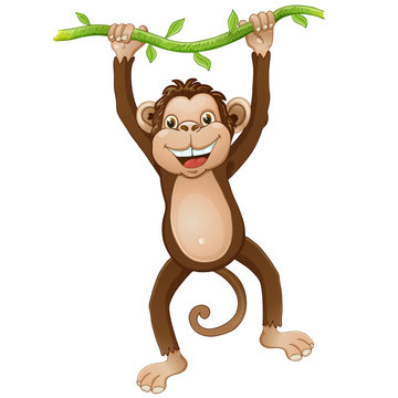 Funny monkey cartoon
