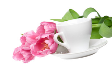 Tulips bouquet isolated