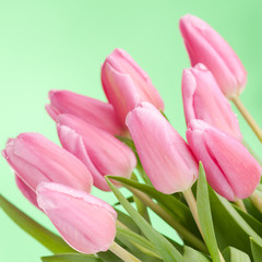 Pink tulips bouquet