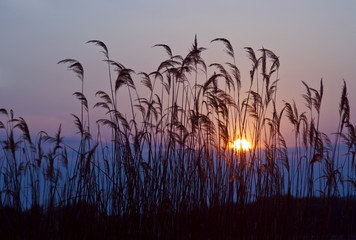 Fototapeta premium Sunset