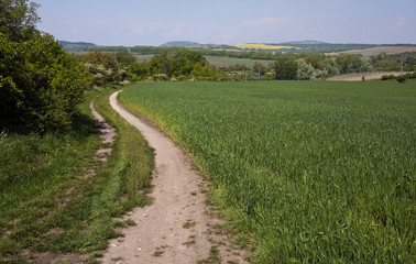 Spring landscape