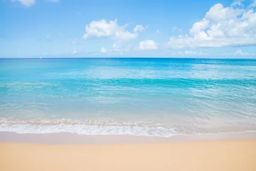 Afwasbaar Fotobehang Caraïben Strand van Grande Anse - Deshaies