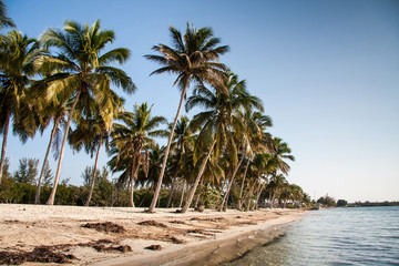 Playa Larga beach, Bay of Pigs,  Cuba,  America