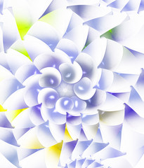 colorful spiral fractal on white