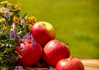 fresh apples on a table in the garden