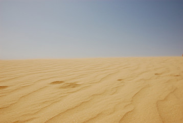 Fototapeta na wymiar Summertime Sahara desert in Tunisia