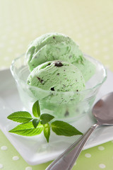 Mint Chocolate Chip Ice Cream