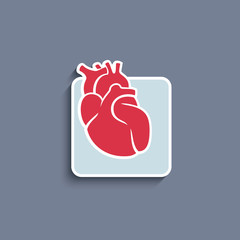 Vector paper-cut  icon with human organ heart - 64594171