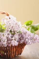 Blossoming lilac in a basket