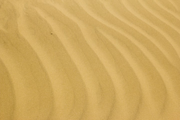 close-up of sand wave ripples at sunset
