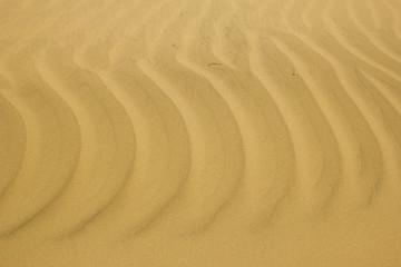 Close-up of sand ripples at sunset