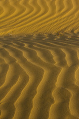 Close-up of sand ripples at sunset