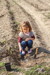 Little girl working in vegetable garden