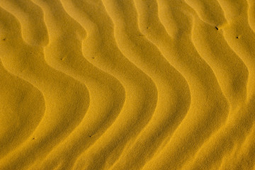 Close-up of sand ripples at sunset