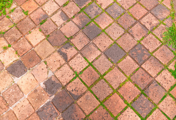 pavé losange sud de la France