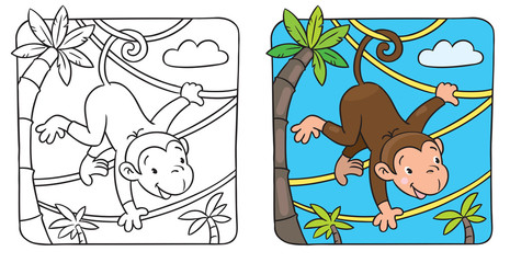 Little funny monkey on lians © passengerz
