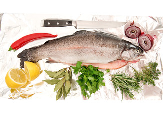 raw salmon trout fish with fresh spices and herbs