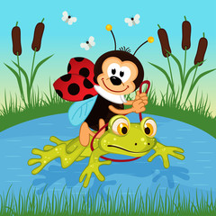 ladybug riding on frog  - vector illustration