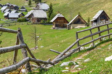 Fototapeta na wymiar Zajamniki Alpine Meadow in Pokljuka
