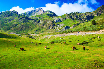 Pyrenees mountains