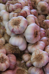 Fresh garlic at a market