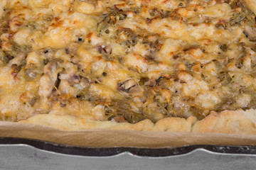 Part cheese chicken pie closeup