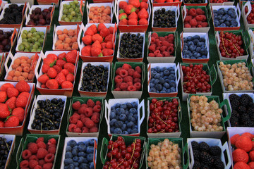 Berries in boxes