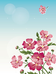 Fototapeta premium flower_02