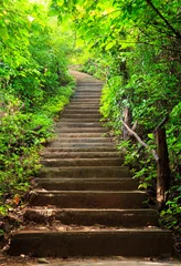 Gartenposter Bestsellern Landschaften Treppe zum Wald