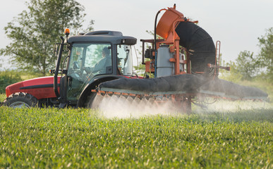 spraying wheat in spring