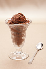 Ice Cream cup