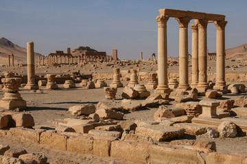 Obraz premium ruins of palmyra