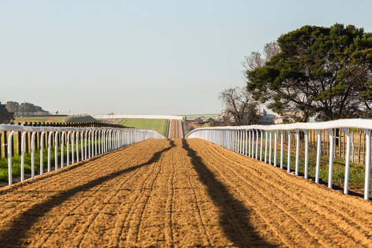 Horse Racing Sand Track