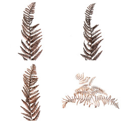 Naklejka premium Christmas decorative Brown fern leaf