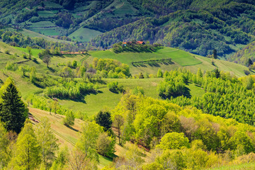 Spring landscape,hills and meadow,Holbav,Transylvania,Romania