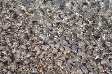 At the bottom of the sea. View through water. Natural background