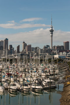 yachts in Auckland marina