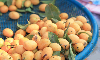 Marian plum fruit - asia fruit