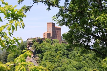 Fototapeta na wymiar Burg Trifels in der Pfalz