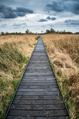 Stormy sky landscape over wetlands in countryside with boardwalk