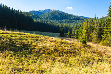Obraz premium Nizke Tatry (Low Tatras), Slovakia